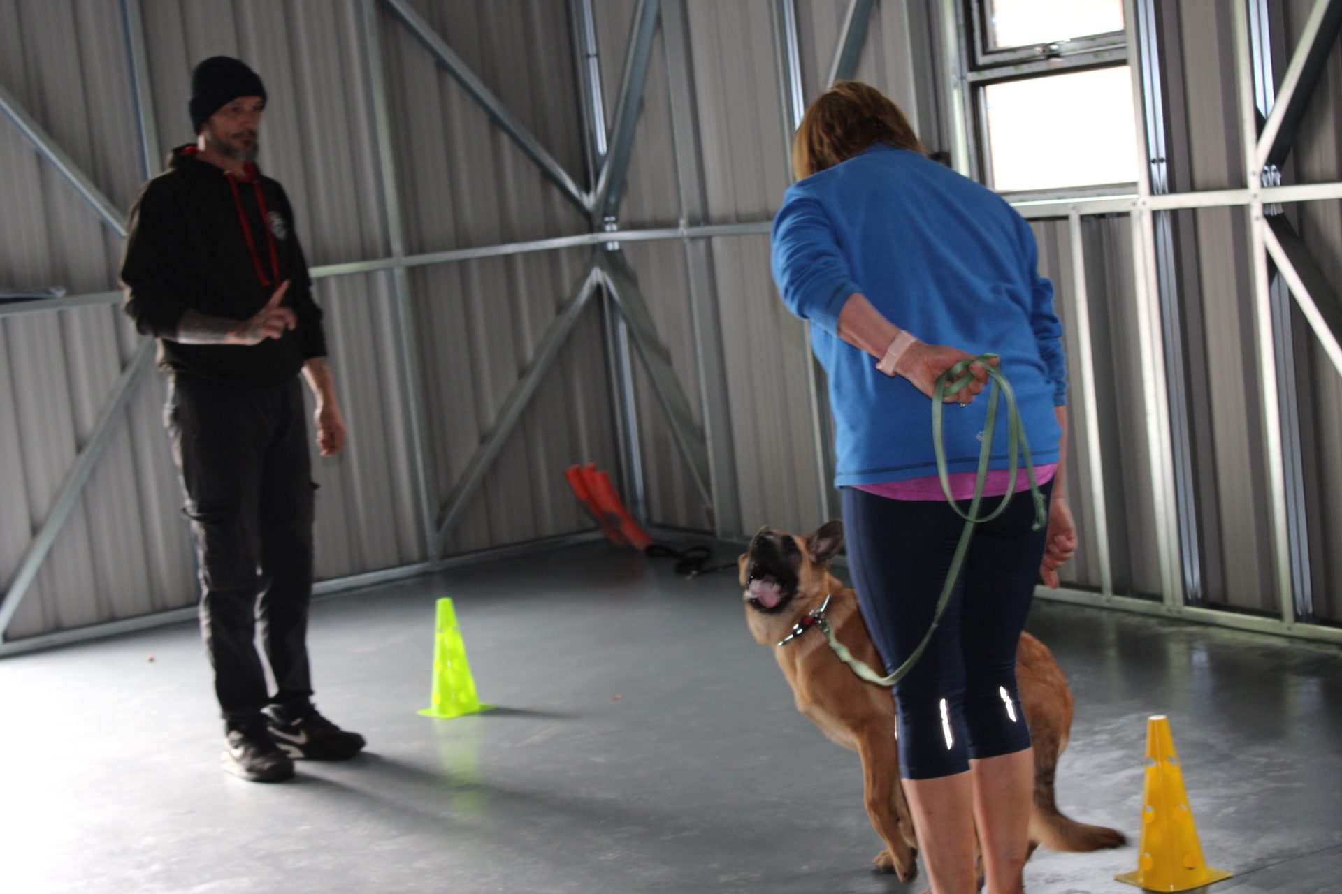 German shepherd dog training